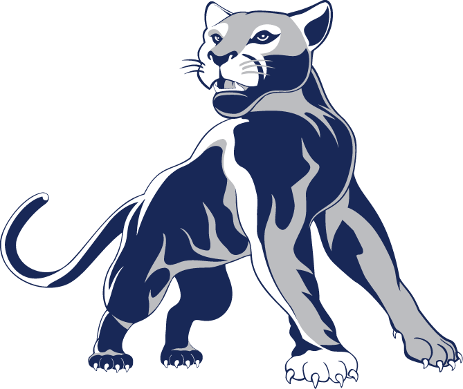 Panther@1.5x